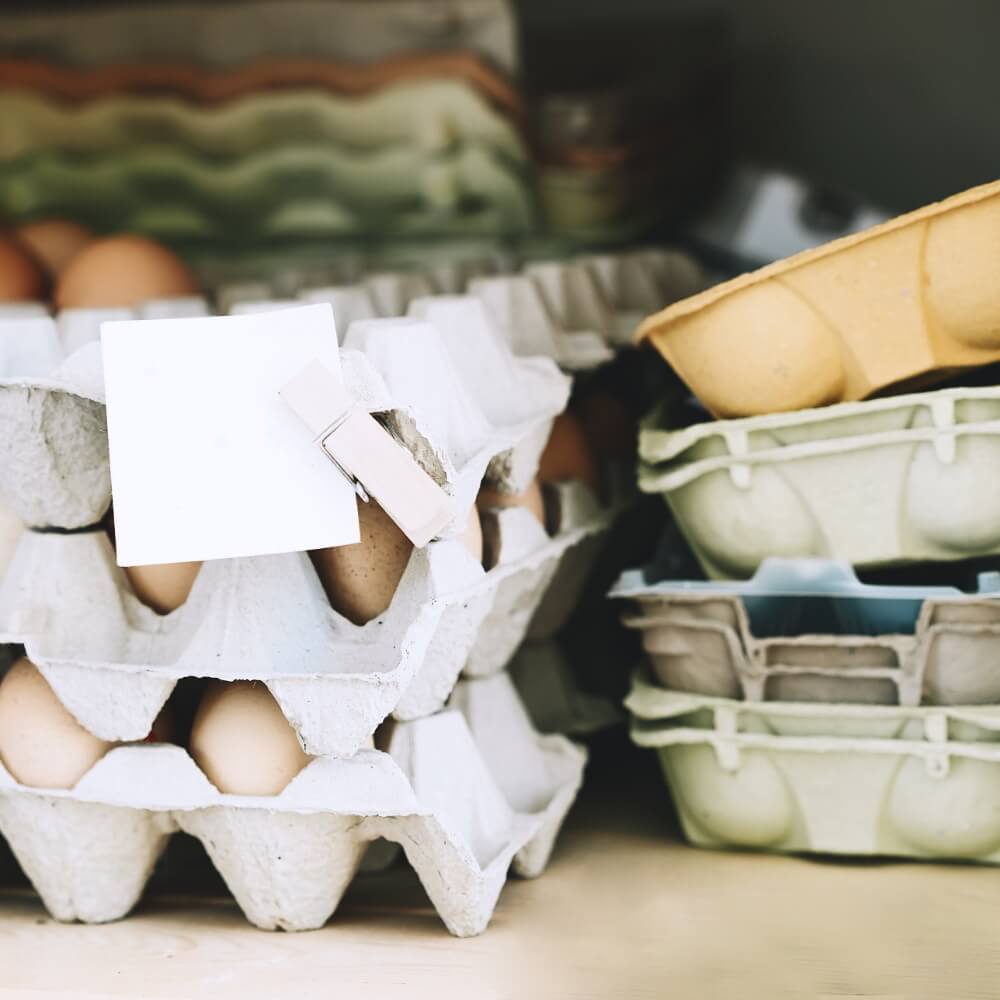 Fresh Eggs